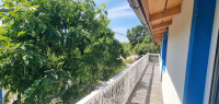 cazare Casa Amelyn poza